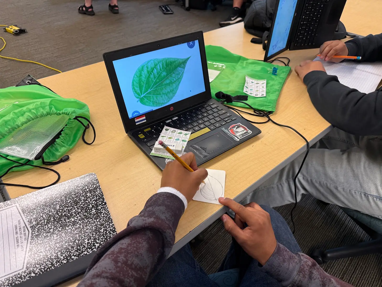 Students incorporate environmental science into business card designs.