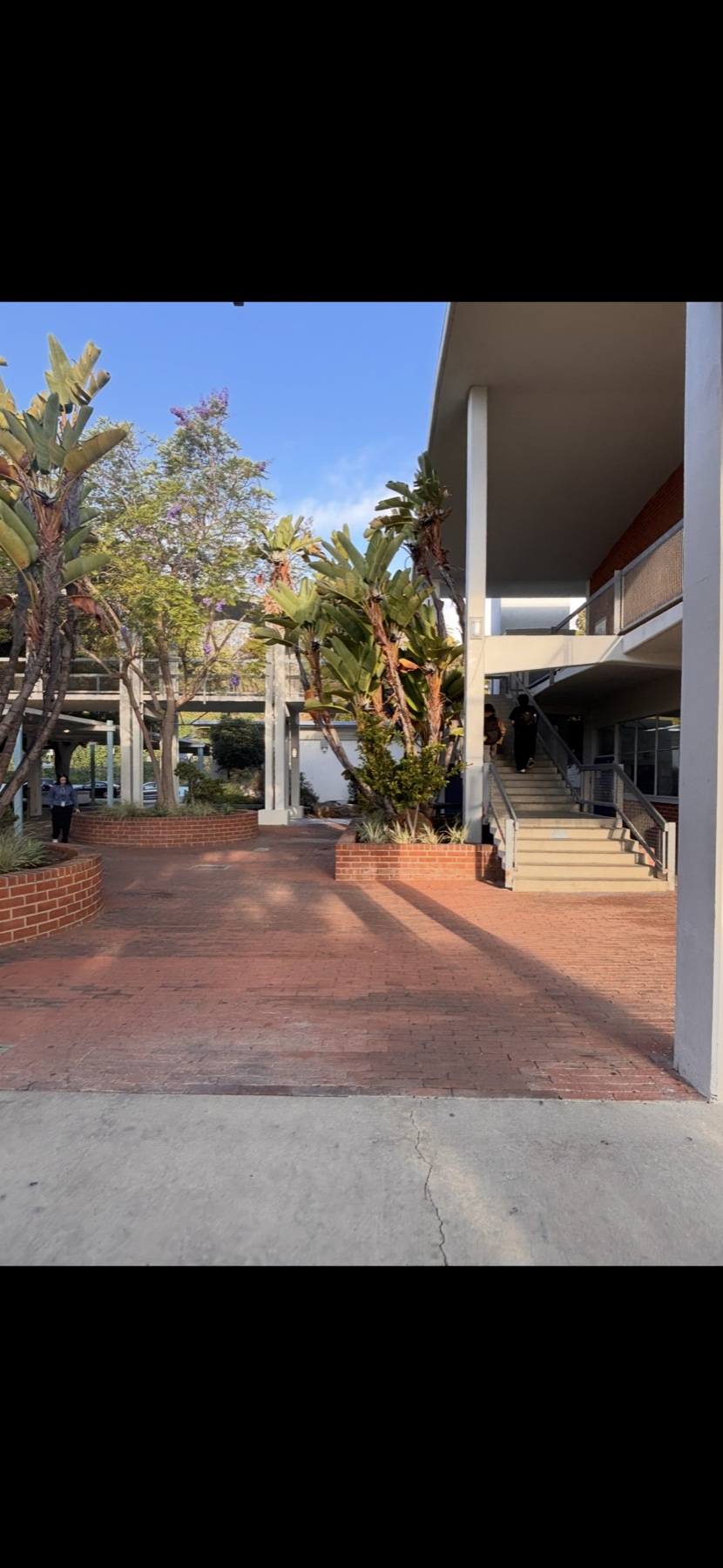 Palisades Charter High School campus, with paved hardscape across the grounds.